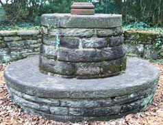 washington's camp memorial